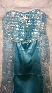 Kids Costumes to Hire - Frozen dress - 6 (small)